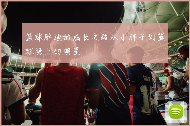 篮球胖迪的成长之路从小胖子到篮球场上的明星