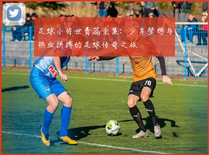 足球小将世青篇全集：少年梦想与热血拼搏的足球传奇之旅